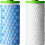 AO Smith Claryum Filter Replacement - 2 Pack - AO-US-200-R