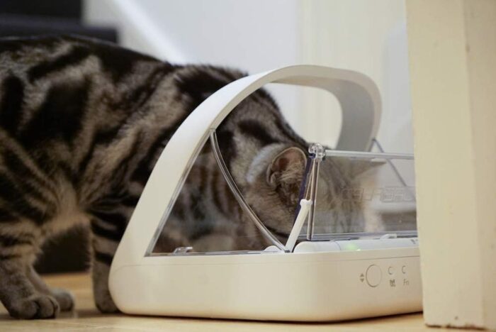 Sure Petcare -SureFlap - SureFeed - Microchip Pet Feeder - Selective-Automatic Pet Feeder Makes Meal Times Stress-Free, Suitable for Both Wet and Dry Food - MPF001 - Image 5