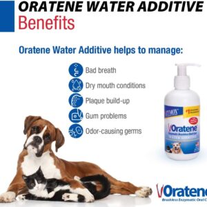 Pet King Brands ZYMOX Oratene Enzymatic Brushless Oral Care Water Additive, 8oz - Image 2