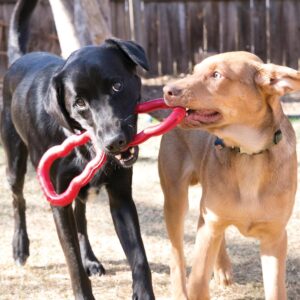 KONG Tug Toy - Dog Supplies for Tug of War - Natural Rubber Dog Toy for Outdoor & Indoor Playtime - for Medium/Large Dogs - Image 2