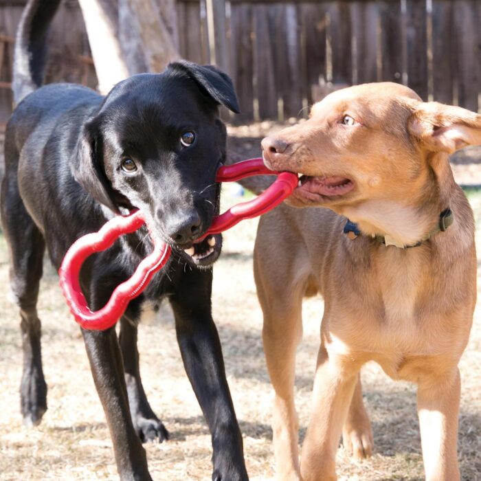 KONG Tug Toy - Dog Supplies for Tug of War - Natural Rubber Dog Toy for Outdoor & Indoor Playtime - for Medium/Large Dogs - Image 2