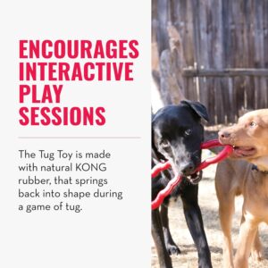 KONG Tug Toy - Dog Supplies for Tug of War - Natural Rubber Dog Toy for Outdoor & Indoor Playtime - for Medium/Large Dogs - Image 5