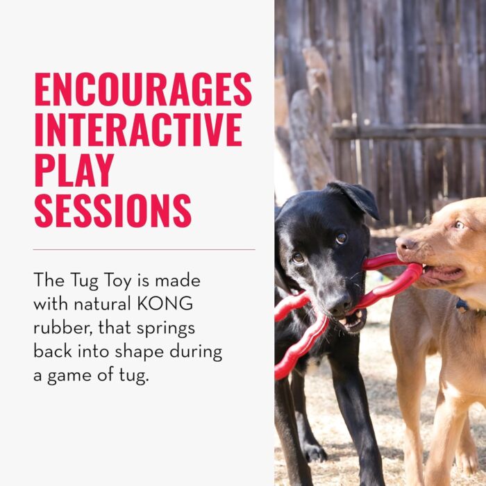 KONG Tug Toy - Dog Supplies for Tug of War - Natural Rubber Dog Toy for Outdoor & Indoor Playtime - for Medium/Large Dogs - Image 5